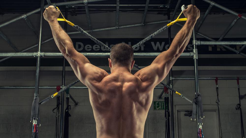 Crossover Symmetry Shoulder System Rogue Fitness